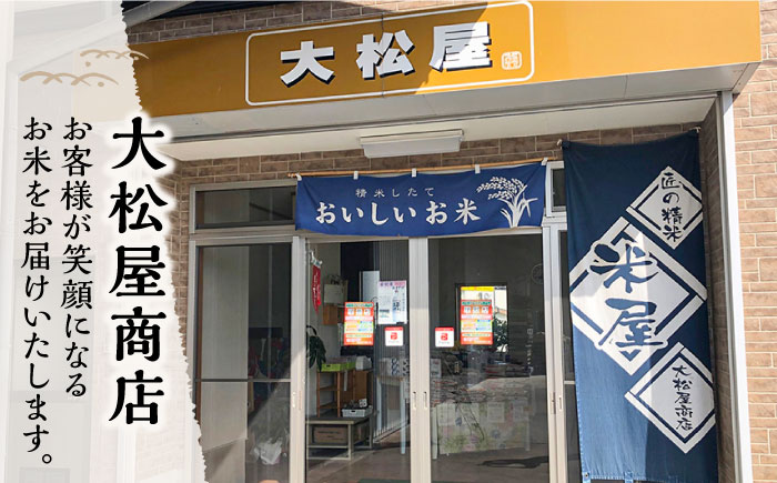 【6回定期便】 長崎県産 精米 にこまる 5kg 総計 30kg / 南島原市 / 大松屋商店 [SDR003]