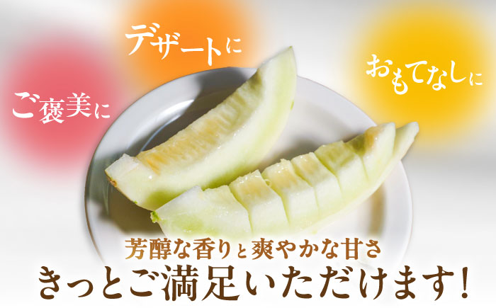 【2026年3月下旬〜発送】しらかばメロン 5玉〜8玉 約5kg / メロン めろん 果物 フルーツ / 南島原市 / うえだメロン園 [SAD009]