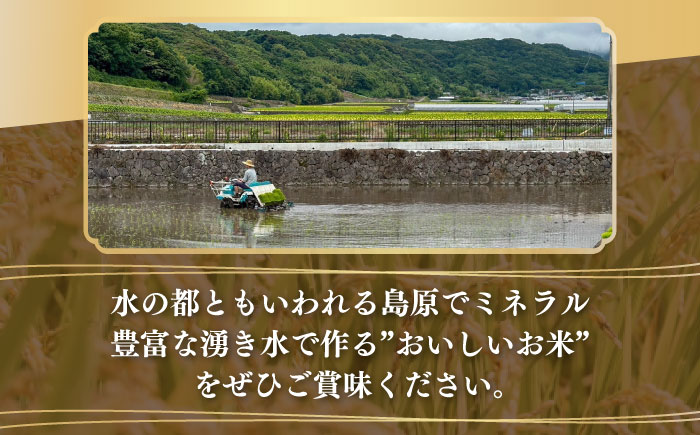 【名水100選の郷から届ける】長崎県産ひのひかり 5kg×4 総計20kg / 米 こめ コメ お米 白米 精米 ご飯 ひのひかり ヒノヒカリ / 南島原市 / 吉岡米穀 [SDG018]