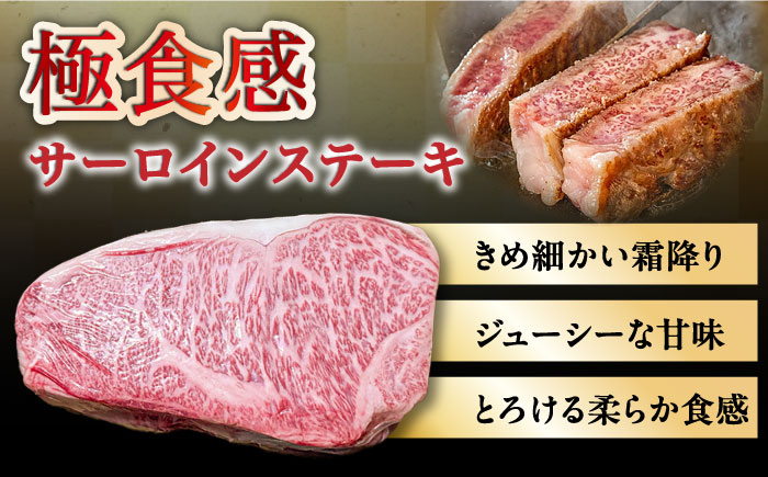 【内閣総理大臣賞受賞】長崎和牛 サーロインブロック 約3kg / 冷凍 ステーキ肉 サーロインステーキ / 南島原市 / 島原雲仙農業協同組合 [SES001]