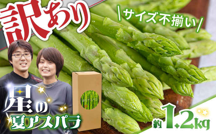 【2025年7月～発送】【訳あり】【星のアスパラ】グリーンアスパラガス 約1.2kg 【L・M・S】 / 訳アリ 規格外 産地直送 アスパラ あすぱら あすぱらがす 採れたて 新鮮 旬 産地直送 / 南島原市 / ほしのYA [SEY015]