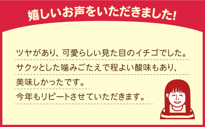 【2025年1月〜発送】【5回定期便】南島原産 いちご 「恋みのり」約260g×4P /  いちご イチゴ 苺 フルーツ 果物 / 南島原市 / あゆみfarm [SFF004]