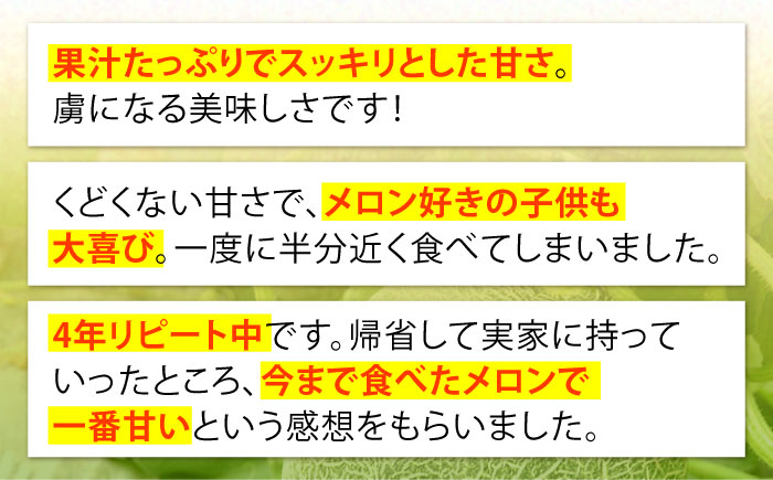 【2026年6月中旬～発送】肥後 グリーンメロン 大玉 2玉 (合計4kg以上) / メロン めろん フルーツ 果物 / 南島原市 / 長崎県農産品流通合同会社 [SCB063]