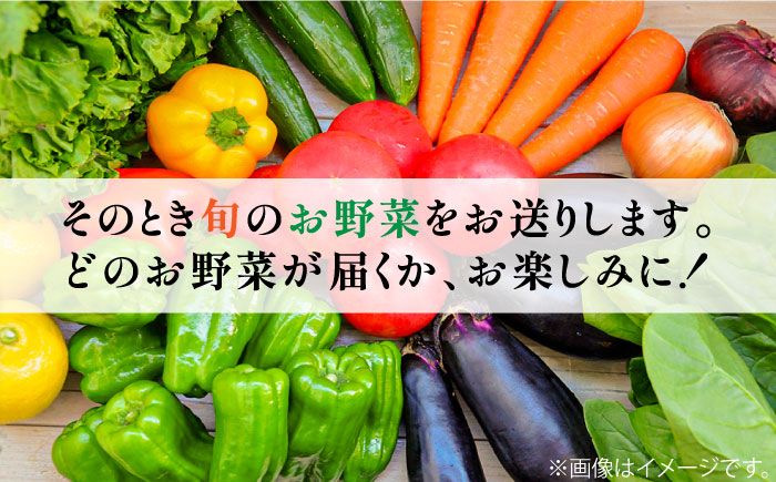 【6回定期便】地元農家さんが収穫した旬のお野菜 10種詰め合わせ / 野菜 旬 新鮮 採れたて 季節野菜 旬野菜 農家直送 野菜定期便 定期便 / 南島原市 / ミナサポ  [SCW046]