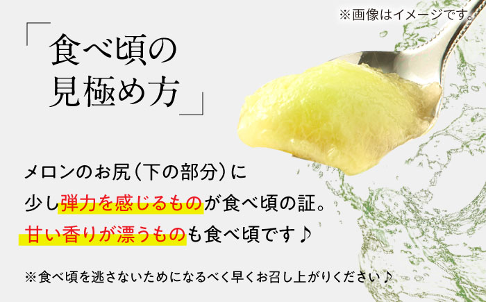 【4回定期便】メロン 4種 食べ比べ / プリンスメロン イエローキング タカミレッド タカミメロン / メロン めろん フルーツ 果物 / 南島原市 / 南島原果物屋 [SCV045]