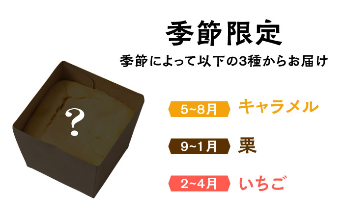 【種類豊富な詰め合わせスイーツ】チーズケーキ 4種セット / ちーずけーき お菓子 贈り物 おやつ ギフト お取り寄せ 人気 誕生日 個包装 / 南島原市 / Hand Made Cake WISSH [SCF001]