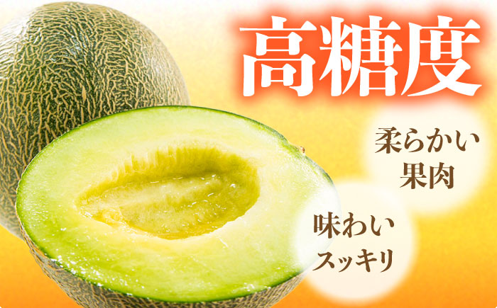 【2026年6月中旬～発送】肥後 グリーンメロン 大玉 2玉 (合計4kg以上) / メロン めろん フルーツ 果物 / 南島原市 / 長崎県農産品流通合同会社 [SCB063]