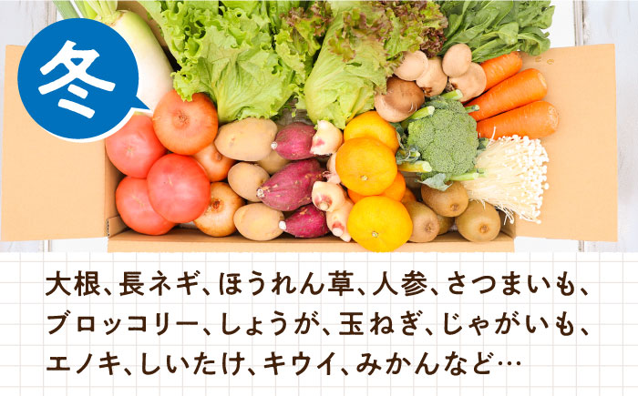 【毎月コース】豪華！野菜 果物 きのこセット 15品目以上 3回定期便 / 野菜定期便 やさい定期便 フルーツ 果物 キノコ 詰め合わせ / 南島原市 / 吉岡青果 [SCZ023]