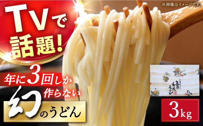 【年に3回しか作らない】幻の うどん 3kg  / 南島原市 / 宮崎製麺所 [SDN006]