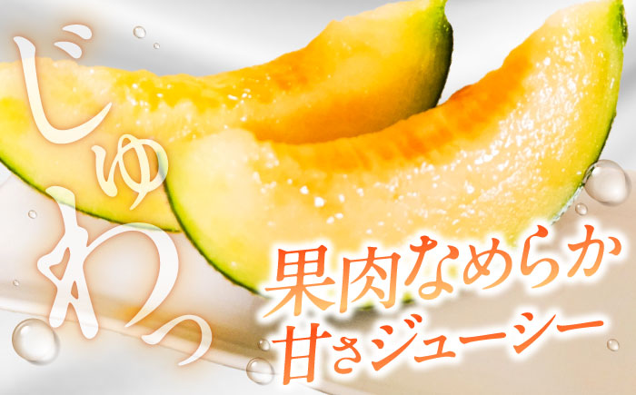 【2026年7月下旬〜発送】アールスメロン 2玉 約3.2kg / メロン めろん 果物 フルーツ / 南島原市 / うえだメロン園 [SAD011]