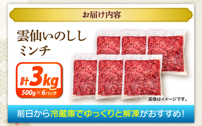 猪肉 ミンチ 3kg 雲仙いのしし / ひき肉 肉 イノシシ ジビエ いのしし ハンバーグ / 南島原市 / もりのめぐみ [SDB014]