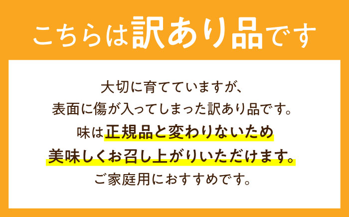 訳あり タカミメロン レッド 3箱 / メロン めろん フルーツ 果物 / 南島原市 / 南島原果物屋 [SCV038]