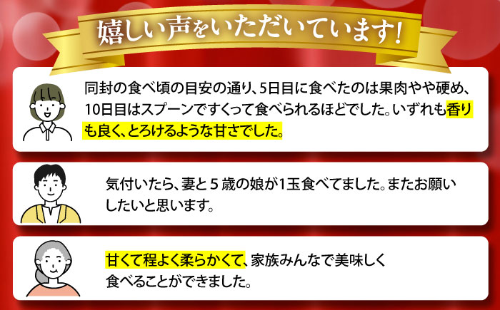 【2026年7月下旬〜発送】アールスメロン 2玉 約3.2kg / メロン めろん 果物 フルーツ / 南島原市 / うえだメロン園 [SAD011]