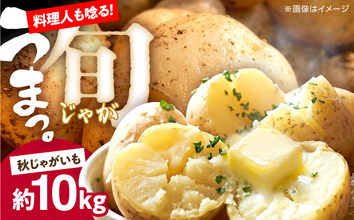 じゃがいも 約10kg 馬鈴薯 秋じゃが / ジャガイモ ばれいしょ 野菜 やさい 芋 / 南島原市 / 株式会社松尾青果 [SGU004]