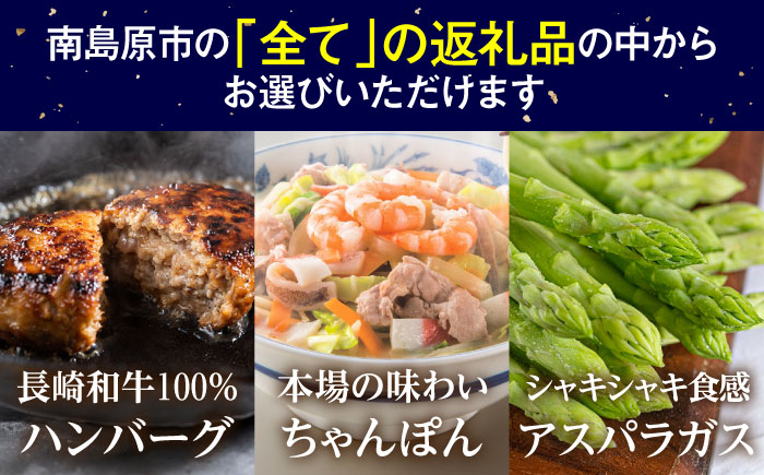 【あとから選べる】南島原市 ふるさとギフト 30万円分 / あとから寄附 あとからギフト 選べる寄附 30万円 300000円 / 南島原市 [SZX009]