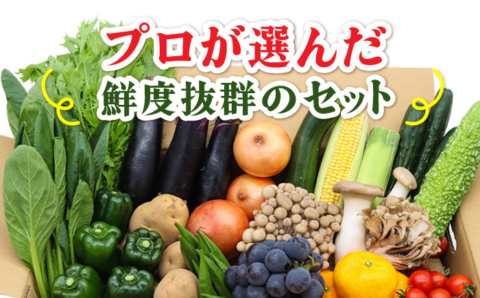 【6回定期便】【奇数月コース】豪華！野菜 セット 15品目以上 / 定期便 野菜 やさい 春野菜 夏野菜 秋野菜 冬野菜 旬 / 南島原市 / 吉岡青果 [SCZ002]