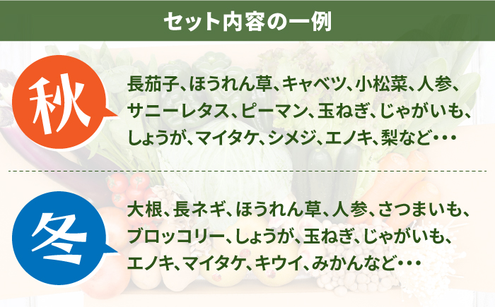 【12回定期便】豪華！野菜 セット 15品目以上 / 野菜 定期便 やさい 定期便 野菜セット やさいセット 春野菜 夏野菜 秋野菜 冬野菜 旬 / 南島原市 / 吉岡青果 [SCZ019]