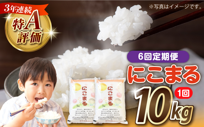【6回定期便】長崎県産 精米 にこまる 10kg（5kg×2袋）総計60kg / 米 お米 こめ コメ 精米 / 南島原市 / 大松屋商店 [SDR015]