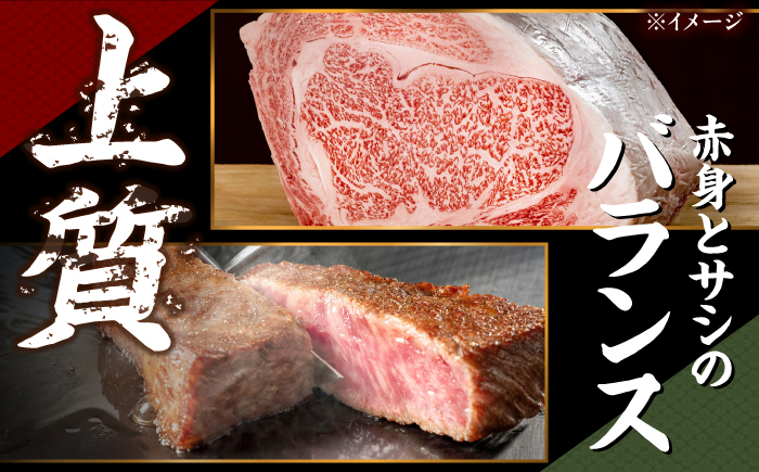 【A4〜A5】長崎和牛 ヒレステーキ 400g（100g×4枚） / 希少部位 赤身 ひれ フィレ ふぃれ 牛肉 / 南島原市 / 株式会社MEAT PLUS [SHG014]