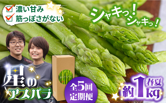 【5回定期便】【星のアスパラ】春＆夏 の グリーン アスパラガス 約1kg / アスパラ 春野菜 野菜 / 南島原市 / ほしのYA [SEY017]