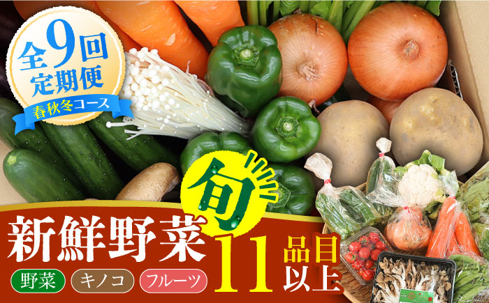【春秋冬限定コース】野菜 キノコ 果物 11品目 詰め合わせ 9回定期便 / 野菜定期便 やさい定期便 野菜セット きのこ セット 野菜詰め合わせ / 南島原市 / 吉岡青果 [SCZ026]