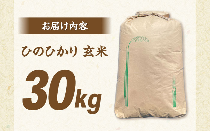 【数量限定】ひのひかり 玄米 30kg 1袋 / 米 こめ コメ げんまい / 南島原市 / ながさき南部生産組合 [SBW027]