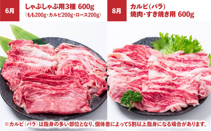【12回定期便】長崎和牛と旬の野菜が楽しめる バラエティ定期便 / 野菜定期便 やさい定期便 肉定期便 牛肉 / 南島原市 / 贅沢宝庫 [SDZ054]