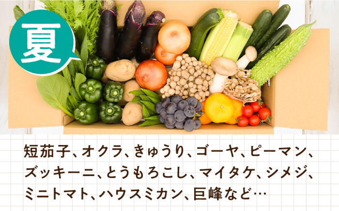 【毎月コース】豪華！野菜 果物 きのこセット 15品目以上 3回定期便 / 野菜定期便 やさい定期便 フルーツ 果物 キノコ 詰め合わせ / 南島原市 / 吉岡青果 [SCZ023]