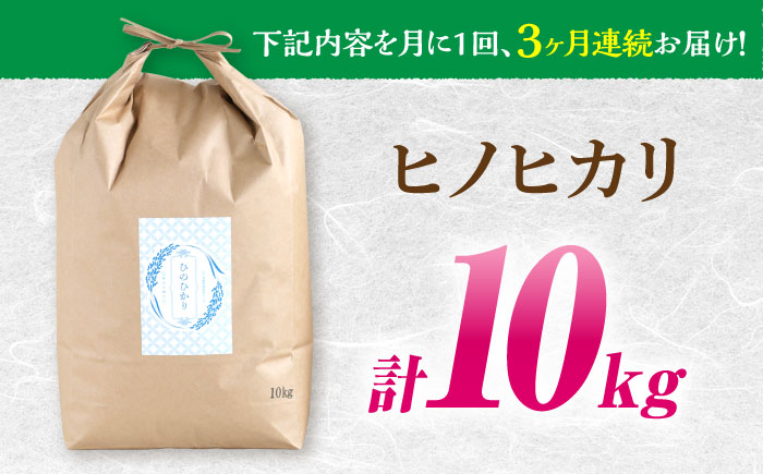【南島原市産ヒノヒカリ】10kg×3回 定期便 / ひのひかり 米 お米 こめ コメ 精米 / 南島原市 / 林田米穀店 [SCO006]