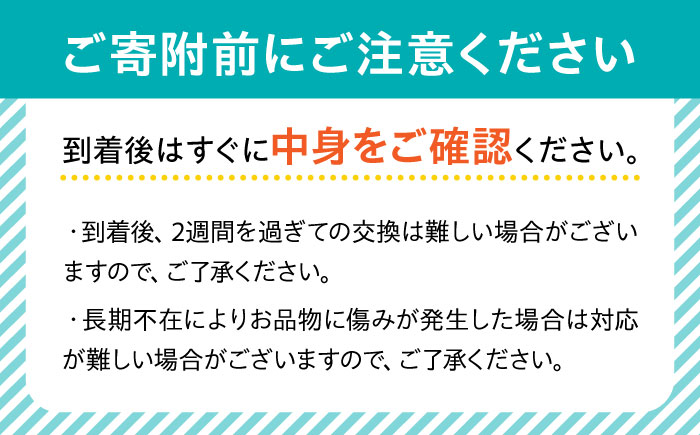 【2回定期便】 【2025年3・4月お届け】【数量限定】いちご「ゆめのか」 約260g × 4P / イチゴ 苺 フルーツ 果物 産地直送 朝摘み / 南島原市 / O' Berry! [SGA003]