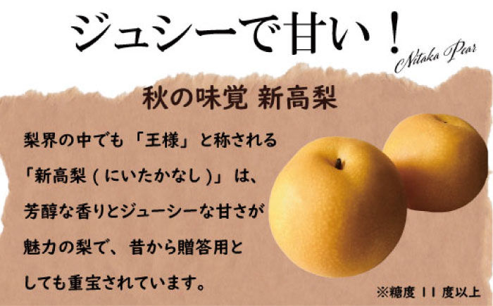 【2025年9月〜発送】【シャリッとおいしい！】新高梨 約3.4kg / 梨 なし  南島原市 / ふるさと企画 [SBA030]