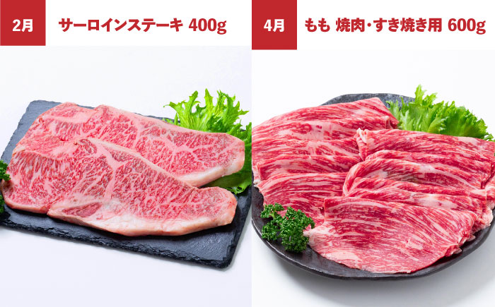 【12回定期便】長崎和牛と旬の野菜が楽しめる バラエティ定期便 / 野菜定期便 やさい定期便 肉定期便 牛肉 / 南島原市 / 贅沢宝庫 [SDZ054]