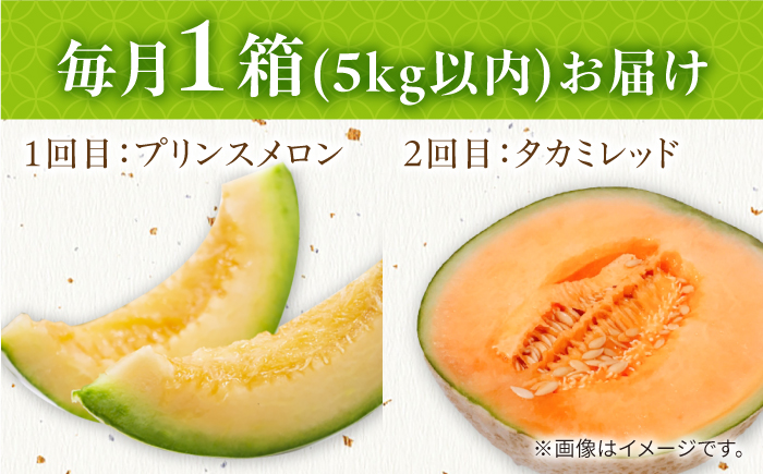 【2026年4月下旬〜発送】【4回定期便】メロン 4種 食べ比べ / プリンスメロン イエローキング タカミレッド タカミメロン / メロン めろん フルーツ 果物 / 南島原市 / 南島原果物屋 [SCV045]