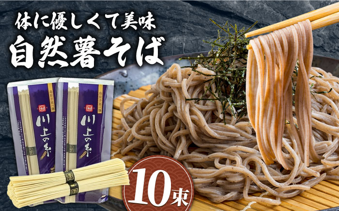 手延べ自然薯そば 500g（250g×2）/  蕎麦 そば ソバ 手延べ 国産 乾麺 麺 めん 自然薯 / 南島原市 / 川上製麺 [SCM021]