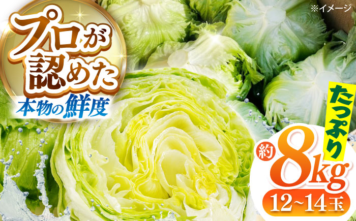 レタス 約8kg（12～14玉）/ れたす 野菜 やさい / 南島原市 / 株式会社松尾青果 [SGU005]