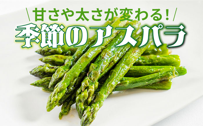 【3回定期便】【星のアスパラ】春・夏・秋 の グリーン アスパラガス 約1kg / アスパラ 野菜 / 南島原市 / ほしのYA [SEY013]