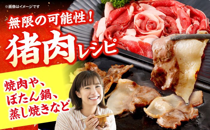 猪肉 スライス 1kg 雲仙いのしし / 肉 イノシシ ジビエ いのしし 焼肉 ぼたん鍋 切り落とし / 南島原市 / もりのめぐみ [SDB011]