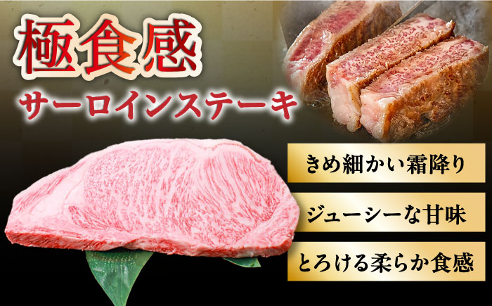 【内閣総理大臣賞受賞】長崎和牛 サーロインステーキ 約1kg / 冷凍 ステーキ肉 BBQ 焼肉 / 南島原市 / 島原雲仙農業協同組合 [SES002]