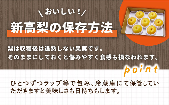 【2025年9月〜発送】シャリッと食感がたまらない！新高梨 5kg (玉数おまかせ) / 梨 なし くだもの 果物 フルーツ 常温 ギフト プレゼント 贈り物 / 南島原市 / ふるさと企画 [SBA012]