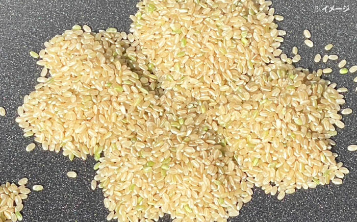 【数量限定】ひのひかり 玄米 30kg 1袋 / 米 こめ コメ げんまい / 南島原市 / ながさき南部生産組合 [SBW027]