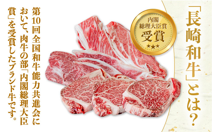 【内閣総理大臣賞！】長崎和牛 シャトーブリアン ステーキ 150g×3枚 計450g / 牛肉 しゃとーぶりあん ヒレ ステーキ すてーき / 南島原市 / ながいけ [SCH035]