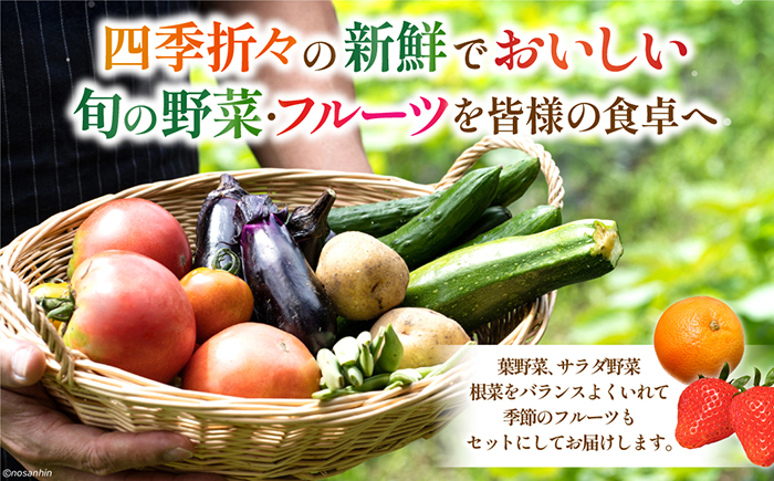 【6回定期便】毎月連続　「旬の野菜・フルーツ」 詰め合わせ セット（13品〜15品）/ 野菜 定期便 やさい 定期便 野菜セット やさいセット 春野菜 夏野菜 秋野菜 冬野菜 旬新鮮 / 南島原市 /長崎県農産品流通合同会社 [SCB091]