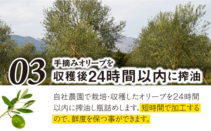 【国産 手摘み 100%】南島原産 オリーブオイル S島原 / オリーブ オイル 油 あぶら 食用油 / 南島原市 / ふるさと企画 [SBA001]