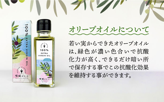 【2024年11月〜発送】【3回定期便】原城オリーブ エクストラヴァージン オイル 100ml 2本 / 調味料 油 オリーブオイル オリーブ / 南島原市 / ミナサポ [SCW050]