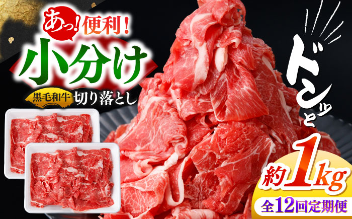 【12回定期便】国産 黒毛和牛 熟成肉 切り落とし計1kg（500g×2パック）/ 小分け 国産牛 お肉 牛肉 切落し 冷凍 焼肉 すき焼き / 南島原市 / ふるさと企画 [SBA097]