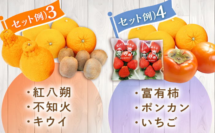 【12回定期便】フルーツ定期便 旬の果物をお任せで2〜3品目お届け（2〜3品目×12回）季節の果物 詰め合わせ 果物 セット / 定期便 フルーツ 果物 春フルーツ 夏フルーツ 秋フルーツ 冬フルーツ /  南島原市 / 吉岡青果 [SCZ014]