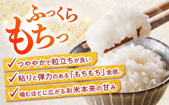【令和7年産新米】【特別栽培米】 ヒノヒカリ 10kg (5kg×2袋) / 米 精米 白米 ごはん ご飯 ひのひかり / 南島原市 / 農家民宿　いちご一会 [SBN002]