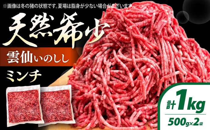 猪肉 ミンチ 500g×2パック 雲仙いのしし / ひき肉 肉 イノシシ ジビエ いのしし ハンバーグ / 南島原市 / もりのめぐみ [SDB012]