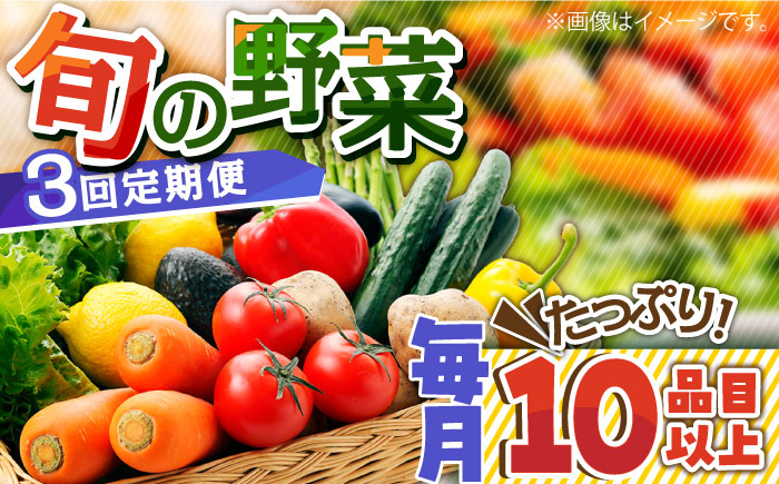 【3回定期便】地元農家さんが収穫した旬のお野菜 10種詰め合わせ / 野菜 旬 新鮮 採れたて 季節野菜 旬野菜 農家直送 野菜定期便 定期便 / 南島原市 / ミナサポ [SCW045]