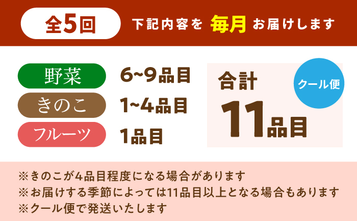 【毎月コース】野菜 キノコ 果物 11品目 詰め合わせ 5回 定期便  / 南島原市 / 吉岡青果 [SCZ032]